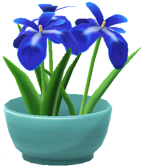 potted blue irises