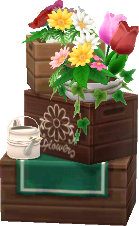 cajas de flores