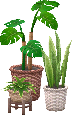 set piante da serra