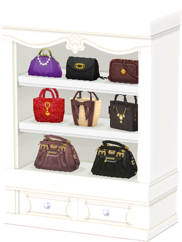 chic bag closet