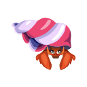 red hermit crab