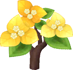 Gelb-Drillingsblumen