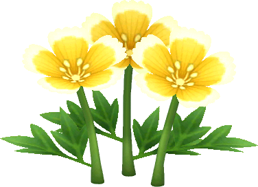 yellow egg flowers