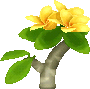 yellow plumeria