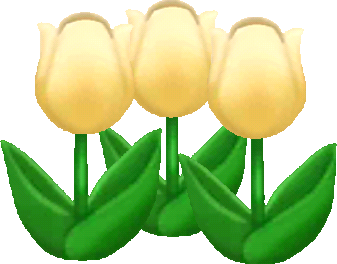 yellow spring tulips