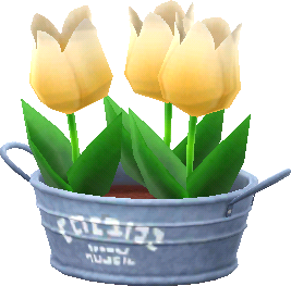 yellow spring tulips