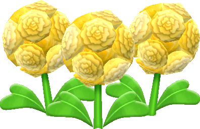 fiore pompon giallo