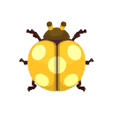 노란색 꽃무당벌레
