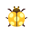 coccinelle jaune