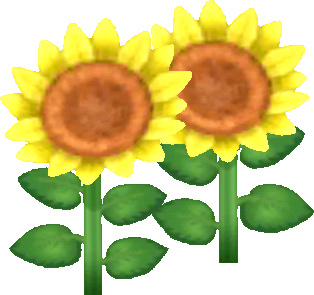 Gelb-Sonnenblume