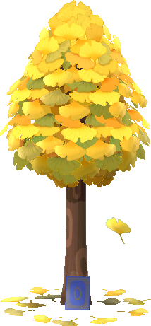 albero di ginkgo