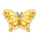 gold splendifly