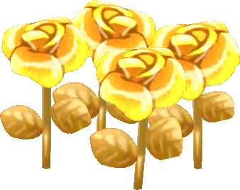 roses dorées