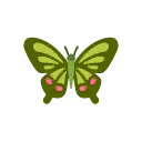 초록색 맑음나비