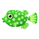 pesce scatola verde