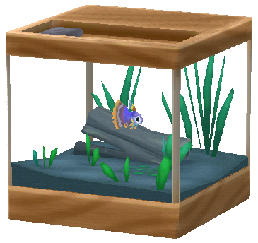 孔雀魚水族箱