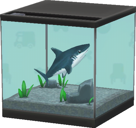 鯊魚水族箱
