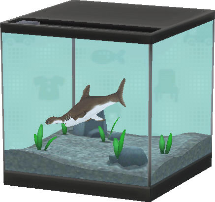 aquarium requin mart.