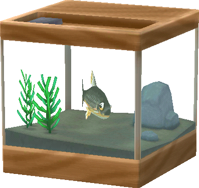 aquarium vandoise