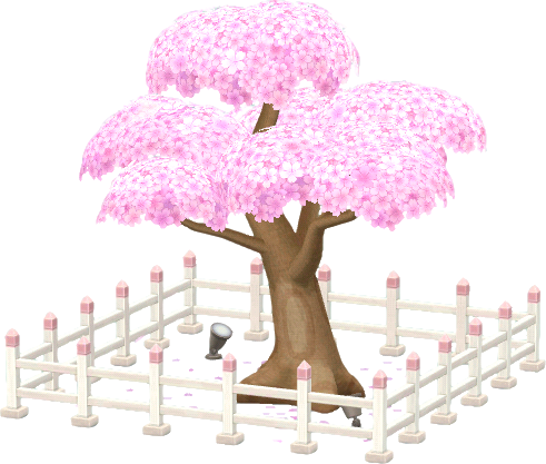 shrine uplit sakura tree