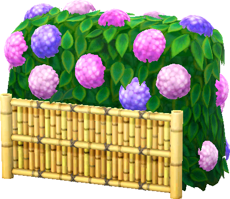 clôture hortensias violets