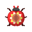 빨간색 해바라기무당벌레