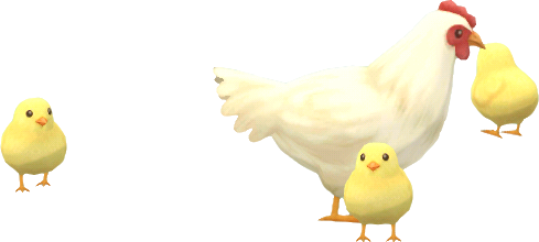 poule avec ses poussins