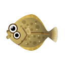 island olive flounder
