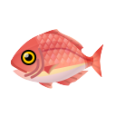 island red snapper
