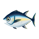 island tuna