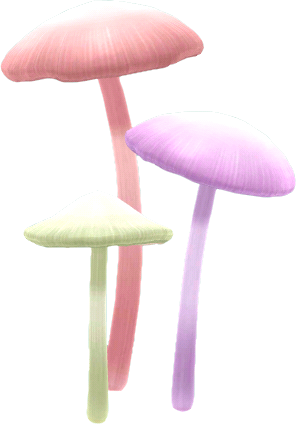閃亮蘑菇叢