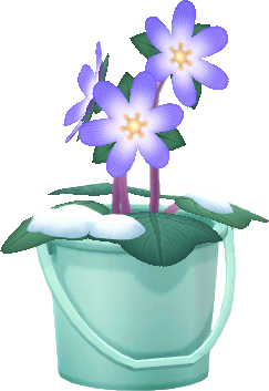 secchio anemoneve viola