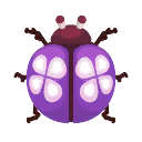 紫色花朵瓢蟲
