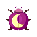 紫色賞月瓢蟲