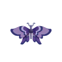紫色五月雨蝶