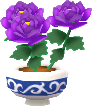 pot pivoines violettes