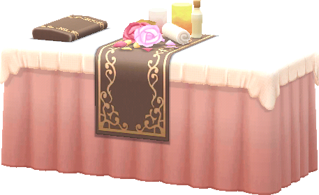 luxurious massage table