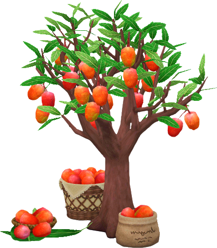 Mangobaum