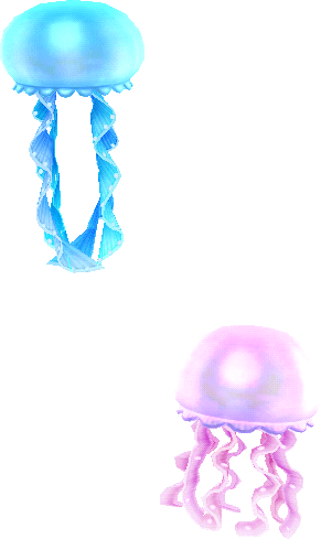 floating jellyfish