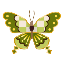farfalla quadrina verde