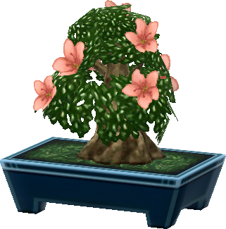 azalea bonsái