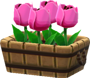 tulipán rosa