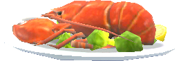 steamed lobster