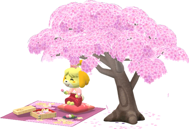 여울과 커다란 벚나무