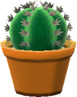 mini cactus a palla