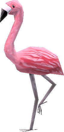 Mr. Flamingo