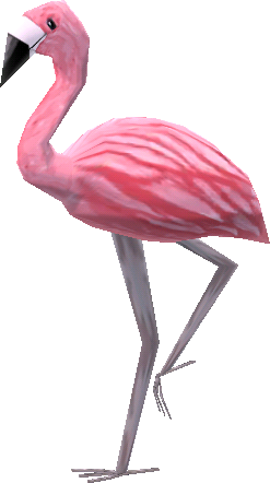 Mrs. Flamingo