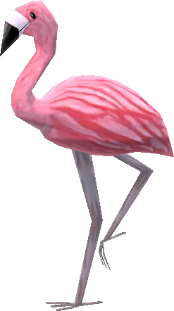 Mrs Flamingo