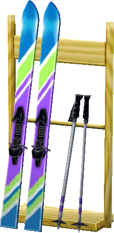 ski rack
