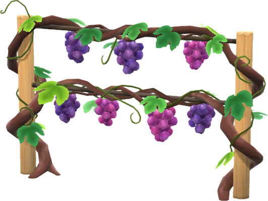 vigne de raisins violets